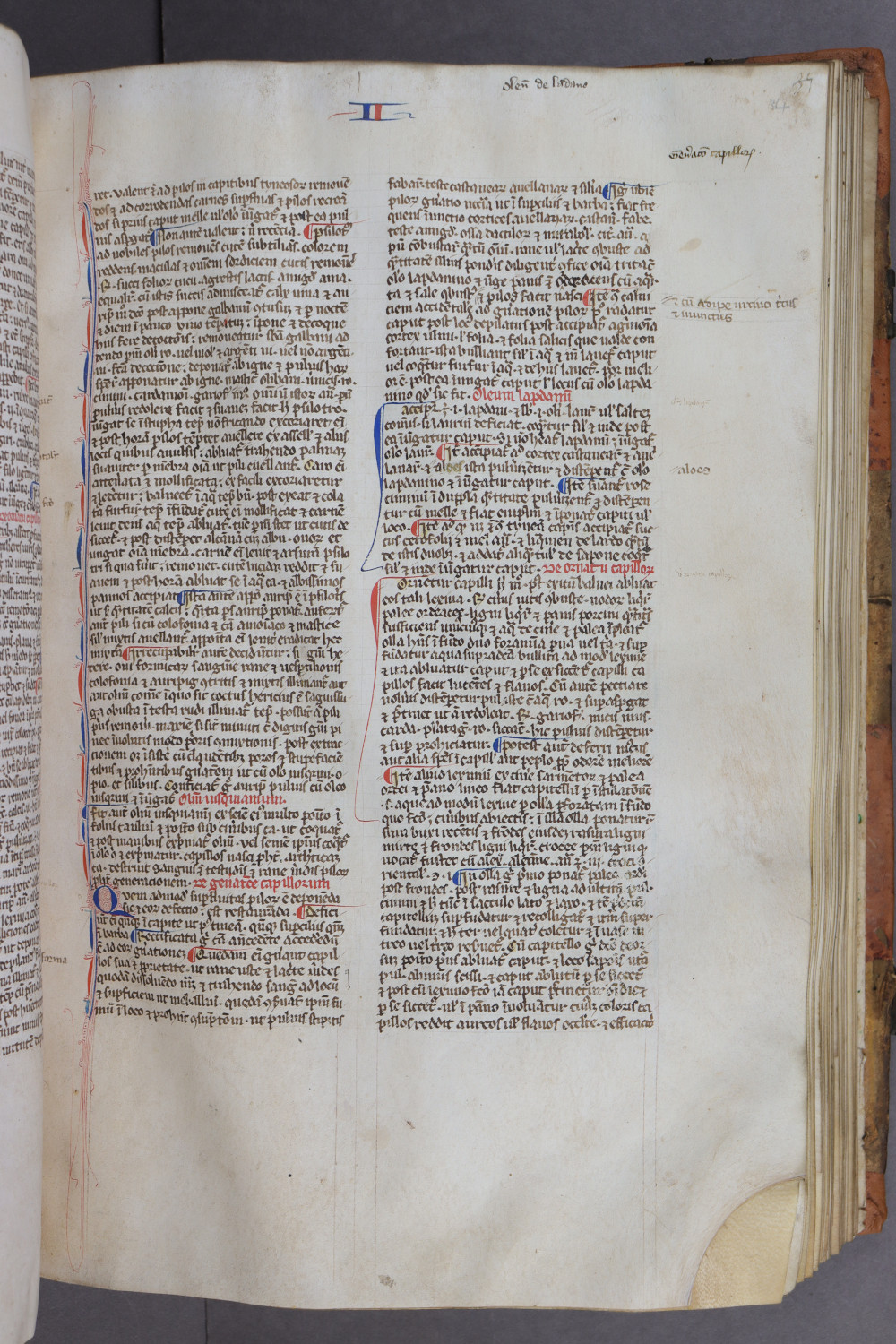 Folio 34 recto